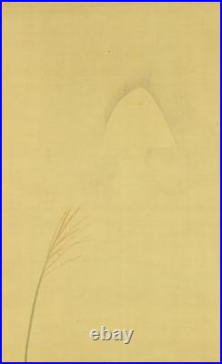 MATSUYOSHI SHOKEI Japanese hanging scroll / Fox under autumn moon Box W237