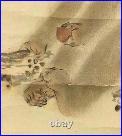 MORI SOSEN Japanese hanging scroll / Monkey on chestnut tree with Box I504