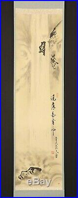 Nw1429jjSw Japanese ZEN hanging scroll NORITANI BUNGA WATERFALL