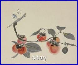 PERSIMMON JAPANESE PAINTING HANGING SCROLL VINTAGE ART ANTIQUE JAPAN 079a