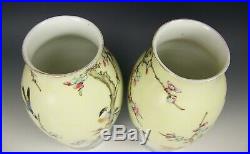 Pair Of Japanese Kutani Porcelain Hand Painted Birds & Apple Blossoms Vases