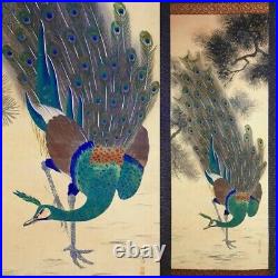 Peacock Japanese antique Hand Painted Large Hanging scroll Signed
