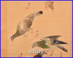 Pigeon JAPANESE PAINTING ANTIQUE HANGING SCROLL OLD From JAPAN Picture 268m