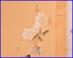 Pigeon JAPANESE PAINTING ANTIQUE HANGING SCROLL OLD From JAPAN Picture 268m
