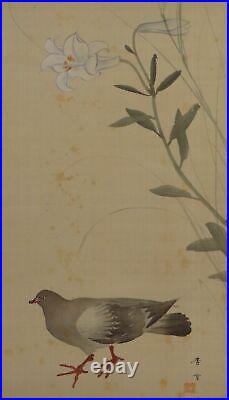 Pigeon JAPANESE PAINTING ANTIQUE Lily HANGING SCROLL OLD From JAPAN Picture d850