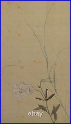 Pigeon JAPANESE PAINTING ANTIQUE Lily HANGING SCROLL OLD From JAPAN Picture d850