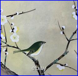Plum and nightingale Takagi spring stone painting Beautiful hanging scroll