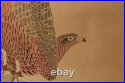 Rare early Painting depicting Takagari Hawk 17-18th century Edo GG13