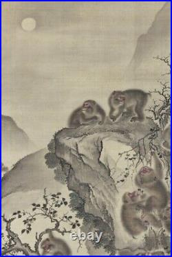 Shinsaku Edo Zoological Painting Hanging Shaft Mori Sniper Sublunar Group Monkey