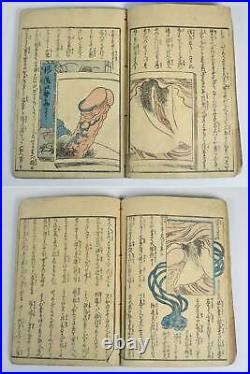Shunga, gloss book, lustful story, woodblock print, ukiyo-e, beauty painting