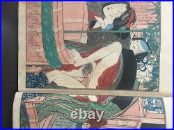 Shunga, gloss book, lustful story, woodblock print, ukiyo-e, beauty painting