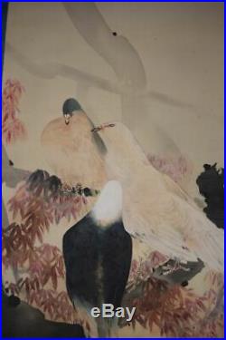 Superb original painting of three pigeons in a maple tree by Watanabe Seitei
