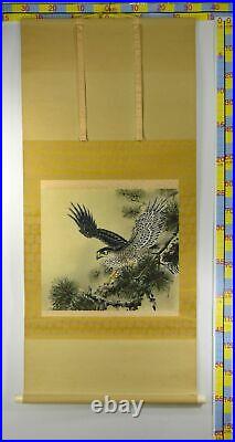 UK439 KAKEJIKU Bird Hawk Animal Hanging Scroll Japanese Art painting Nihonga