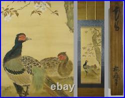 UK444 KAKEJIKU Bird Animal Spring Hanging Scroll Japanese Art painting Nihonga