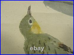 UK471 KAKEJIKU Bird Animal Flower Hanging Scroll Japanese Art painting Nihonga