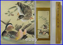 UK475 KAKEJIKU Bird Animal Hanging Scroll Japanese Art painting Nihonga Picture