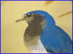 UK503 KAKEJIKU Bird Animal Hanging Scroll Japanese Art painting Nihonga Box