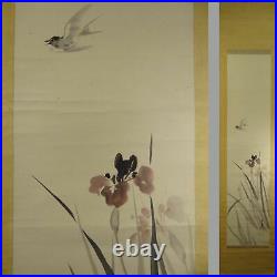 UK703 KAKEJIKU Bird Swallow Animal Iris Hanging Scroll Japanese painting Picture
