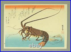 Utagawa Hiroshige Every Variety of Fish Complete Set of 20 Woodcuts (Reprint)