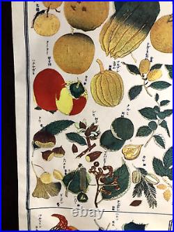 Vintage Japanese Hanging Scroll Kakejiku fruit painting Design