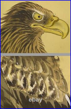 YR19 Eagle Bird Animal Hanging Scroll Japanese painting antique Picture