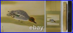 YR31 Teal Anas crecca Duck Bird Hanging Scroll Japanese painting antique Picture