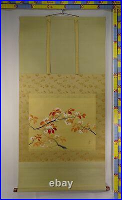 YR35 Cherry Blossom Plant Flower Hanging Scroll Japanese Art painting antique