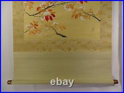 YR35 Cherry Blossom Plant Flower Hanging Scroll Japanese Art painting antique