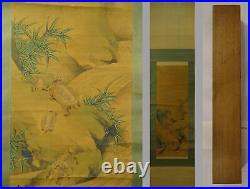 YR44 KAKEJIKU turtle Animal Hanging Scroll Japanese Art painting antique Picture