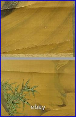 YR44 KAKEJIKU turtle Animal Hanging Scroll Japanese Art painting antique Picture