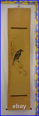 YR49 KAKEJIKU Bird Animal Hanging Scroll Japanese Art painting antique Picture