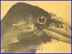YR49 KAKEJIKU Bird Animal Hanging Scroll Japanese Art painting antique Picture